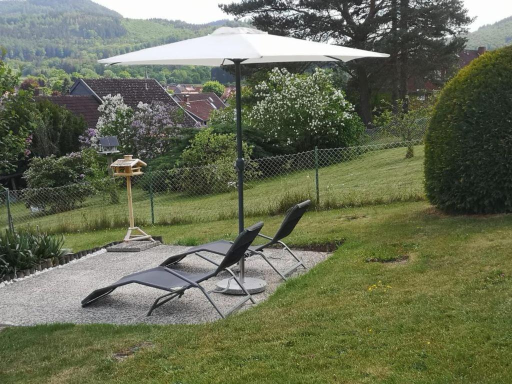Casa Carlotta - Keine Monteure Langelsheim Exterior foto